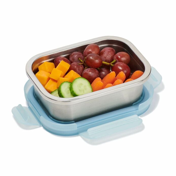 2-c-stainless-steel-food-container-b5 foca417-2-cup-food-container-rain-packed_1_1_1.jpg